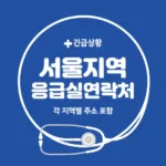 서울시 응급실 전화번호