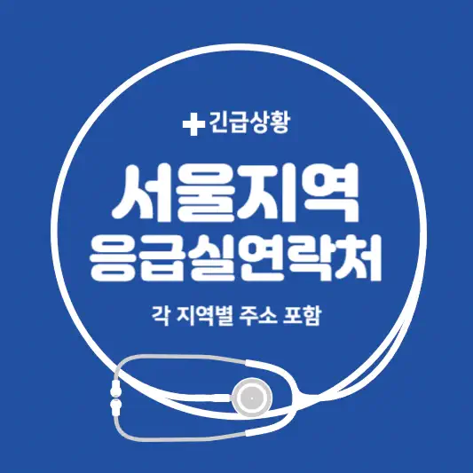 서울시 응급실 전화번호